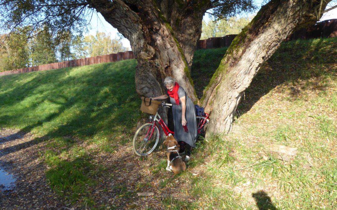 Heilfasten mit Einstein – oder auch der Hund speckt ab